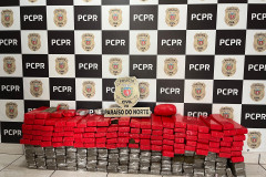 PCPR apreende 172,1 quilos de maconha e prende homem em flagrante em Paraíso do Norte