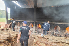 PCPR incinera mais de 1 tonelada de drogas em São José dos Pinhais
