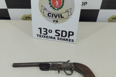 PCPR prende homem em flagrante por posse irregular de arma de fogo em Teixeira Soares