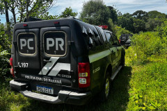 PCPR, PMPR e CBMPR encontra corpo de homem que estava desaparecido em Palmeira