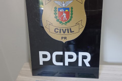 PCPR prende homem em flagrante por furto qualificado em Cidade Gaúcha 