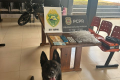 PCPR e PMPR prendem homem em flagrante por tráfico de drogas em Iporã 