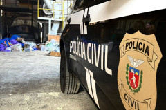 PCPR incinera cerca 1,1 tonelada de entorpecentes em Ponta Grossa