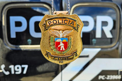 PCPR prende homem por posse irregular e apreende duas armas de fogo em Irati