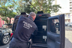 PCPR prende homem por homicídio em menos de 24h após o crime em Guaratuba