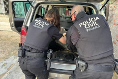 PCPR e PMPR prendem sete integrantes de organização criminosa que atuava em roubos de cargas na RMC
