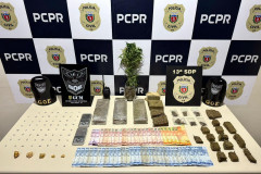 PCPR e GCM prendem casal em flagrante e apreendem itens para tráfico de drogas durante operação em Ponta Grossa