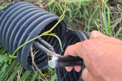 PCPR prende homem em flagrante por tentativa de furto e falsa identidade em Castro