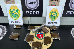 PCPR e PMPR cumprem mandados em investigação sobre plano de resgate em Piraquara