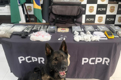 PCPR identifica envolvidos, prende mandante de duplo homicídio e apreende drogas em Matinhos