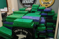 PCPR apreende cerca 2,5 toneladas de drogas em área rural de Itaipulândia