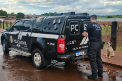 PCPR prende condenado por descumprimento de medida protetiva em Assaí