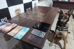 PCPR desarticula esquema de tráfico e prende quatro pessoas em flagrante em Guaratuba 