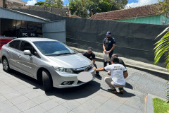 PCPR identifica motorista e apreende carro que atropelou cadela em Ivaiporã