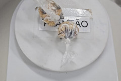 PCPR prende três homens por tráfico de drogas durante ação em Almirante Tamandaré