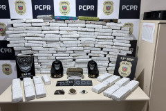 PCPR e GCM apreendem 100kg de entorpecentes em Ponta Grossa