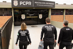 PCPR responsabiliza tutor de pitbull que atacou cães em Ponta Grossa
