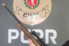 PCPR prende homem por posse de arma de fogo em São José dos Pinhais 