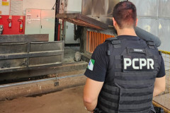 PCPR incinera 10 kg de drogas em Cruzeiro do Oeste