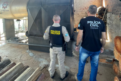 PCPR e PMPR incineram 20 quilos de drogas em Iretama