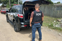PCPR prende duas pessoas por tráfico de drogas em Piraquara