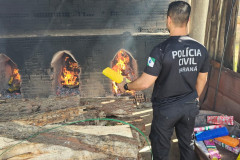 PCPR incinera aproximadamente três toneladas de drogas em São José dos Pinhais