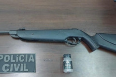 PCPR apreende arma de pressão e projéteis durante investigação de maus-tratos a animais em Cornélio Procópio