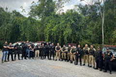 PCPR e PMPR prendem quatro pessoas durante ação contra o tráfico de drogas em Cerro Azul 