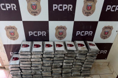 PCPR prende homem em flagrante e apreende 76 tabletes de cocaína em São Miguel do Iguaçu
