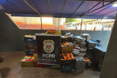 Em maior apreensão do ano, PCPR localiza 4,1 toneladas de maconha em Foz do Iguaçu