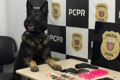PCPR prende dois homens por tráfico de drogas em Bocaiúva do Sul