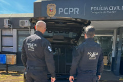 PCPR prende homem com ordem judicial referente ao crime de ameaça em Cascavel 