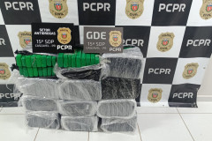 PCPR apreende 150 quilos de maconha durante ação em Cascavel 