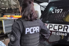 PCPR incinera mais de 1,4 toneladas de drogas em Umuarama 