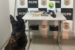 PCPR e PMPR prendem casal por tráfico de drogas em Alto Piquiri