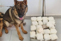 PCPR apreende 11 quilos de haxixe e prende homem em flagrante em Cascavel 