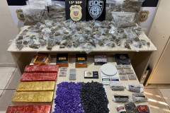 PCPR e GCM apreendem 11 quilos de maconha e prendem homem em flagrante em Ponta Grossa