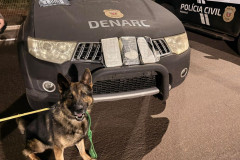 Com trabalho de cão de faro, PCPR localiza 3 quilos de cocaína e prende dois homens em flagrante
