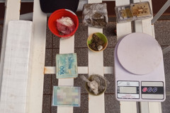 PCPR e PMPR cumprem 9 mandados de prisão e apreendem drogas e armas em Rolândia
