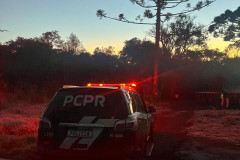 PCPR cumpre mandados de prisão preventiva e internação por roubo em Mangueirinha