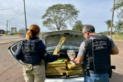 PCPR e PRF prendem homem e apreendem cerca de 400 quilos de maconha em Santa Terezinha do Itaipu 