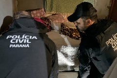 PCPR apreende dois adolescentes investigados por homicídios durante operação em Paranaguá
