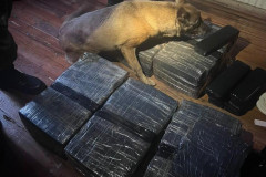 PCPR prende oito pessoas e apreende mais de 120 quilos de drogas em operação em Cascavel