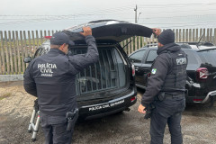PCPR prende suspeito de série de roubos a farmácias no Sítio Cercado, em Curitiba