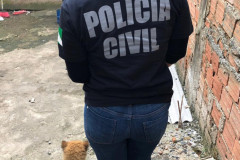 PCPR prende suspeitos de crime ambiental em Curitiba e RMC 