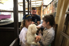 PCPR prende suspeita de manter canil clandestino no bairro Xaxim