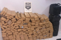 PCPR apreende 262 quilos de maconha em Guarapuava