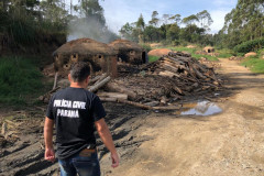 PCPR prende proprietário de carvoaria clandestina na RMC