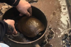 PCPR prende suspeita de manter três animais silvestres em situação de maus tratos