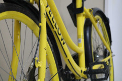 PCPR recupera bicicleta furtada e prende jovem em posse de drogas e arma de fogo 